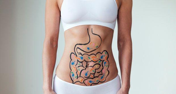 Gut Flora and Good Health