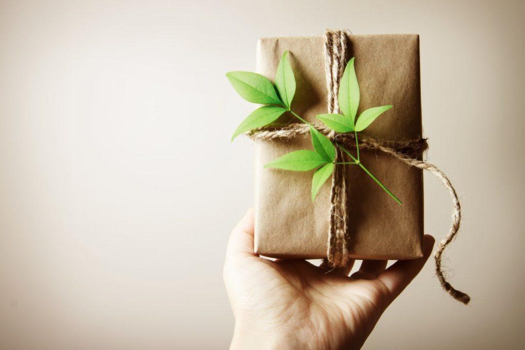 Have Yourself a Very Eco-Christmas