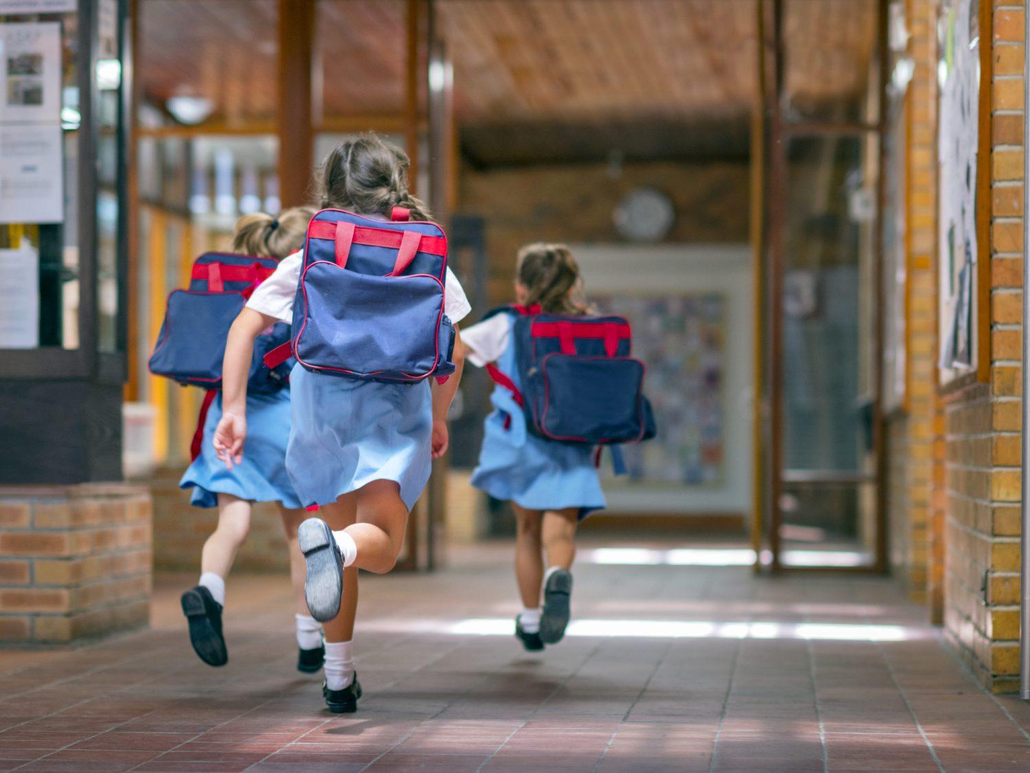 Back to School Immune Support For Kids