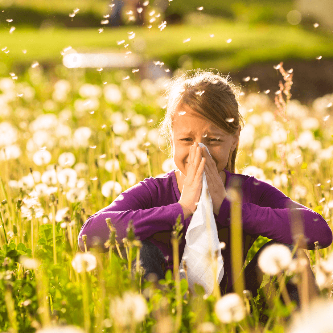 What is Hay Fever and How to Treat it
