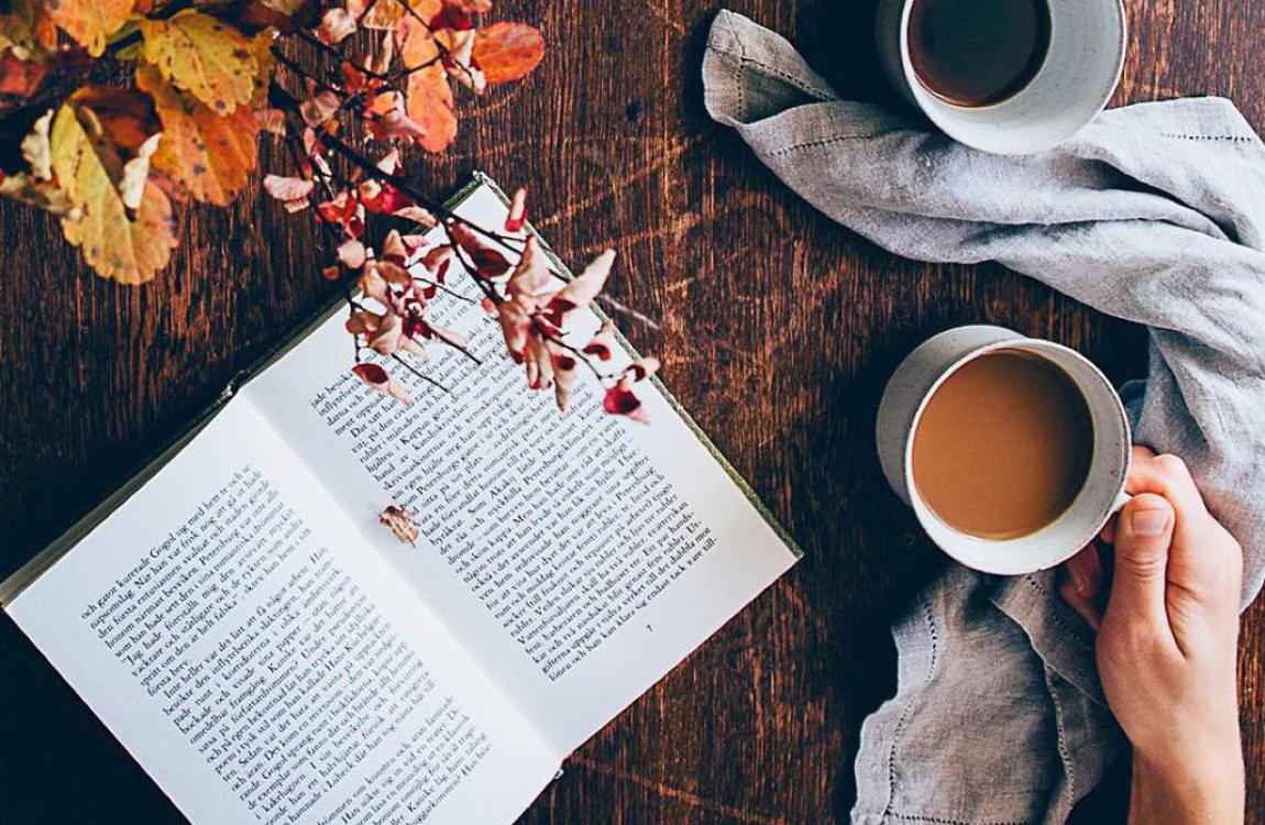 Our Top 4 Health & Wellness Winter Reads