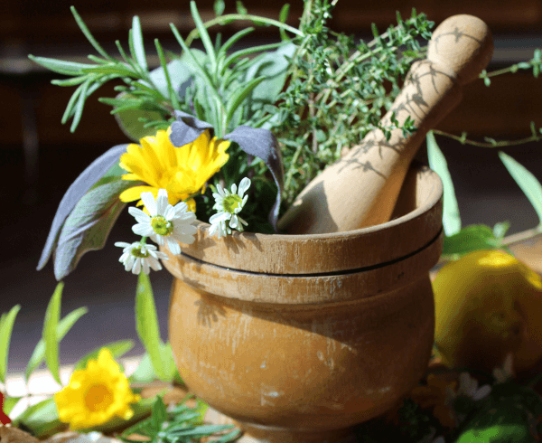 Natural Anti-Viral Herbs