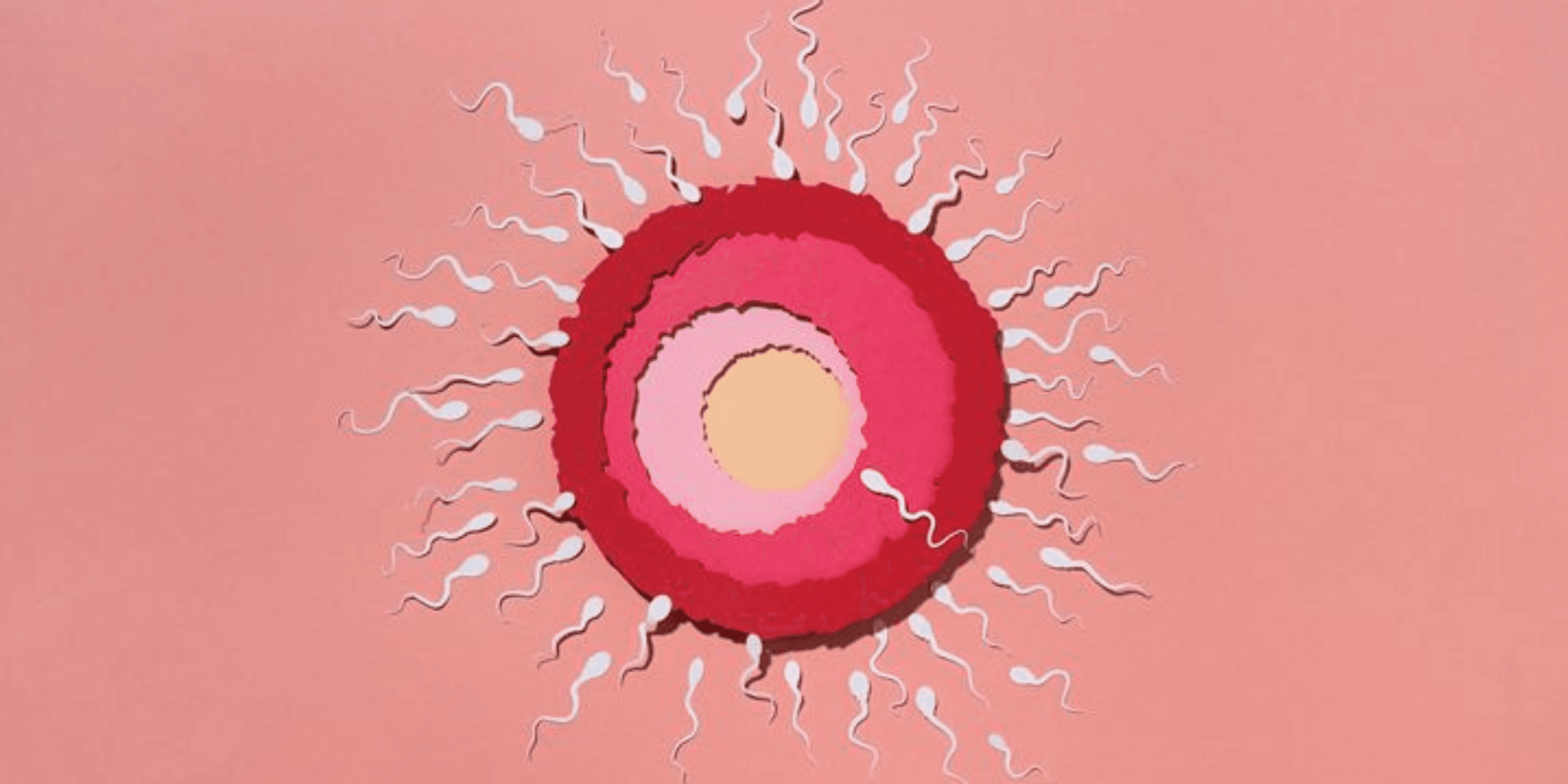 Sperm Matters: Understanding Men's Role in Fertility